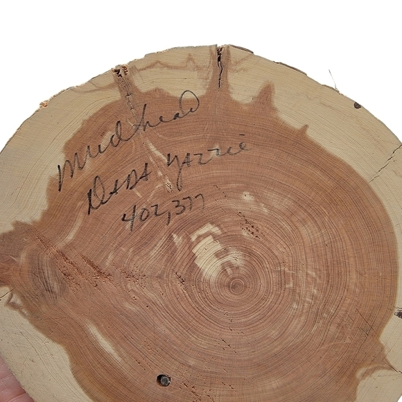 Vintage Mudhead sitting Kachina signed Dada Yazzie - Picture 8 of 11